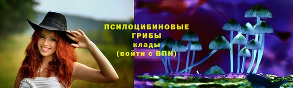 индика Белоозёрский