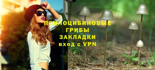 spice Балабаново