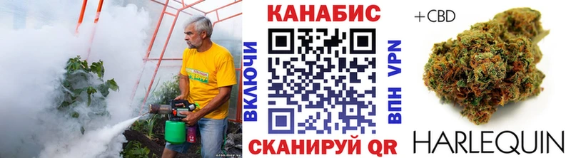 где купить наркоту  Павловская  гидра зеркало  Канабис тримм 